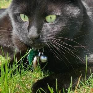 Meet your Posher, Debi